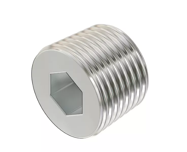 15H561 - Fitting Pipe Plug