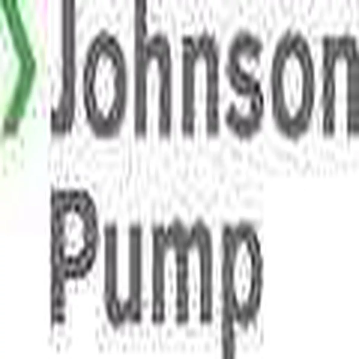Johnson Pump Pump Protector Strainer 09-24653-02-Cn