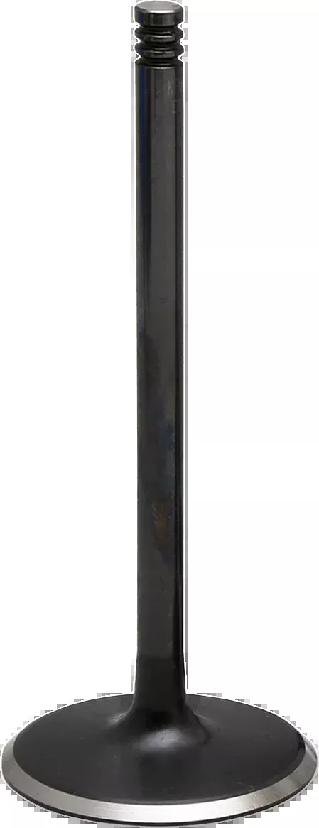 Kibblewhite Precision Intake Valve - 20-21009H